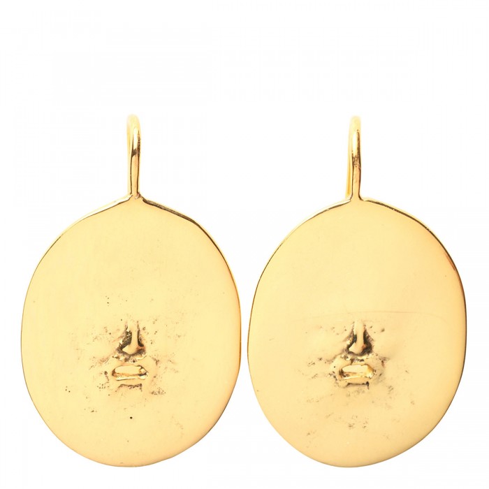 Brass earrings